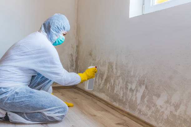 Mold Remediation specialist working in Onancock